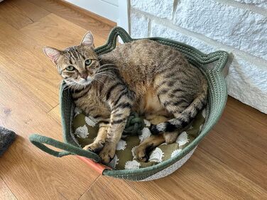 Квіткове ліжко для котів 7WUNDERBAR: зручний корзинка з бавовняних шнурів, діаметр 42 см, висота 15 см, підходить для котів та маленьких собак