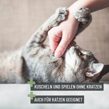 Ножиці ReaVET для обрізання кігтів собак та котів - з пилочкою та упором | Нержавіюча сталь | Інструмент для догляду за кігтями