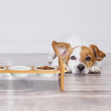 Relaxdays Adjustable Dog Feeder