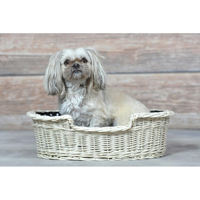 Wicker Dog Basket for Dog and Cat - Dog Bed, Cat Bed with Cushion, Pet Basket, Woven Cat Basket 60x43 H19 cm (80 x 60 x 26 cm, Beige)