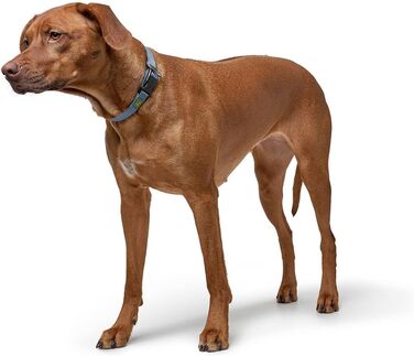 Нашийник для собак Hunter Vario Plus, міцний, гнучкий, з надійною застібкою, M-L/2.0, petrol