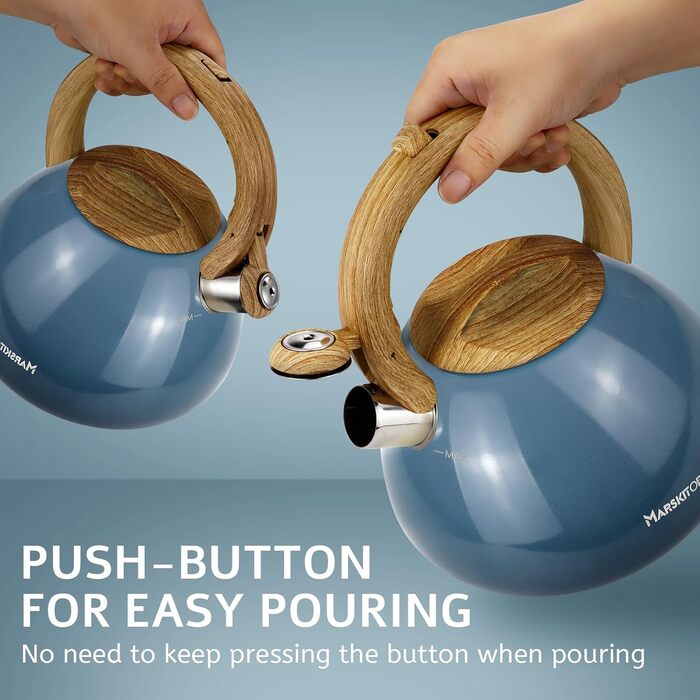 Чайник заварний з нержавіючої сталі Teekessel для плити та індукції, 2.5 л (світло-зелений)