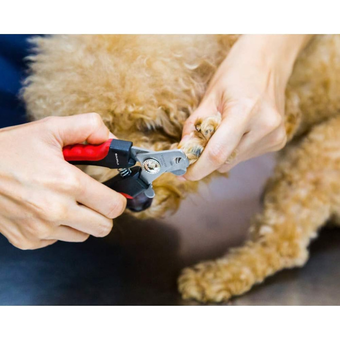 Професійний кусачки для нігтів собак та котів з пилочкою (червоний)