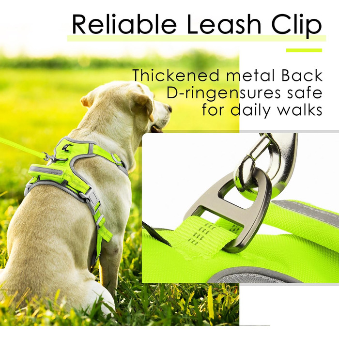 ThinkPet Шлейка для собак від тяги з ручкою - регульована, не тягне, світловідбиваюча, дихаюча, з підкладкою (S, зелений), 1 шт.