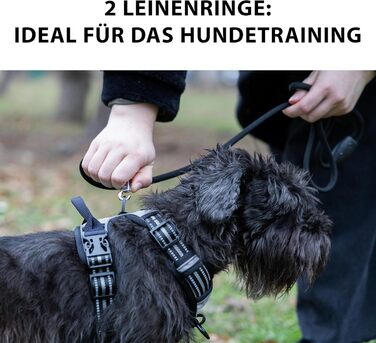 Шлейка для собак Ferplast середнього розміру, 2 гачки для контролю, шлейка проти потягування, регульована, світловідбиваюча та дихаюча, ідеальна для тренувань, M, Бежевий (Коричневий, LARGE)