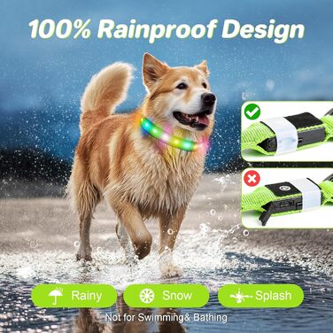 Світлодіодна нашийник для собак Feycig з USB-зарядкою - водонепроникний, регульований, 3 режими, для малих, середніх та великих собак (світло-зелений, M(38-50см))