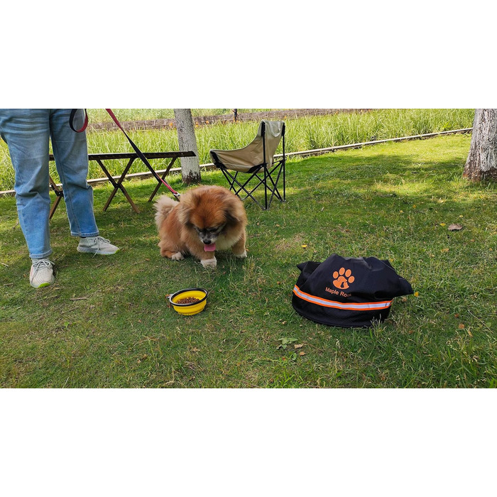 Контейнер для корму для собак, 11.8 кг, 20 л, чорний. Складаний, витримує воду, для подорожей, кемпінгу та дому