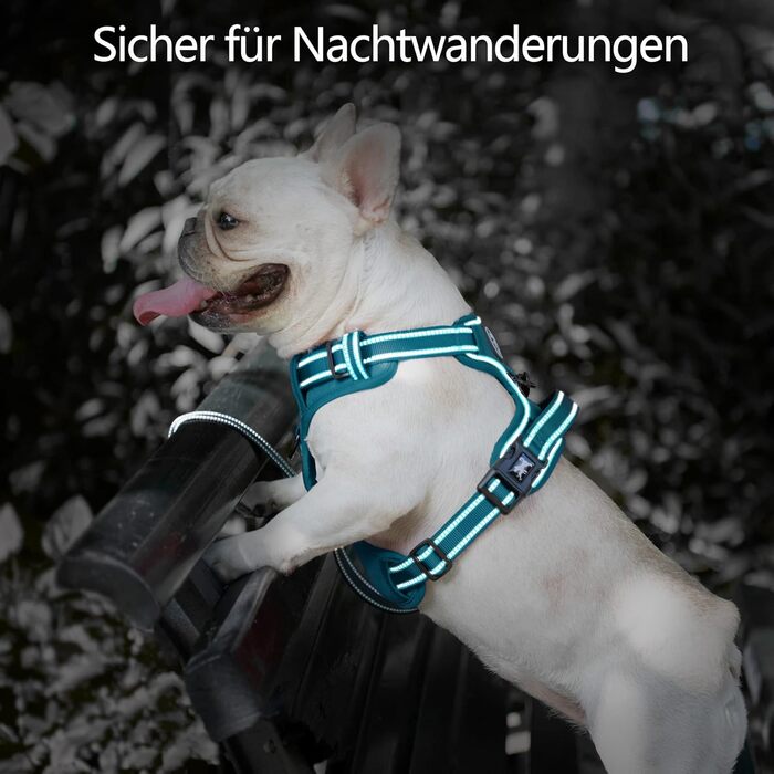 Шлейка для собак PoyPet без натягу, світловідбиваюча, регульована, м'яка, для маленьких собак (Tumalo Teal, S)