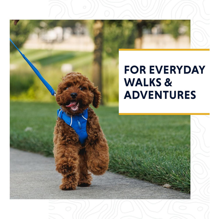 RUFFWEAR Front Lead, lightweight, 1.5 m, Strong lead with padded handle and secure swivel Crux Clip, compact, flat Tubelok webbing, Moonlight Fade