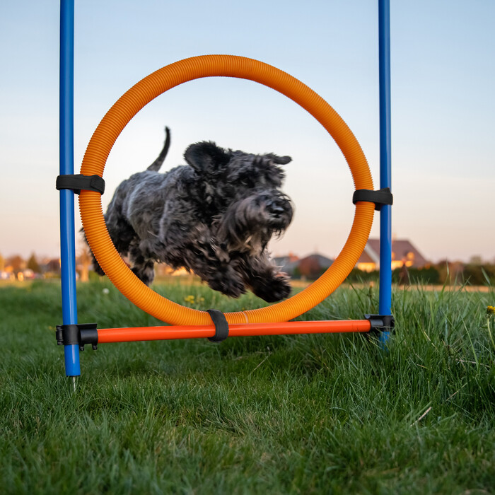 Relaxdays Agility Set for Dogs