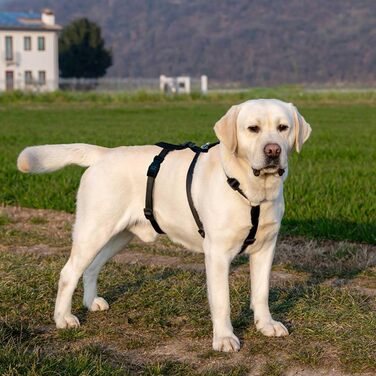 Шлейка для собак середнього розміру Ferplast Brave: надійна, з 6 застібками (колір: коричневий, розмір: LARGE)