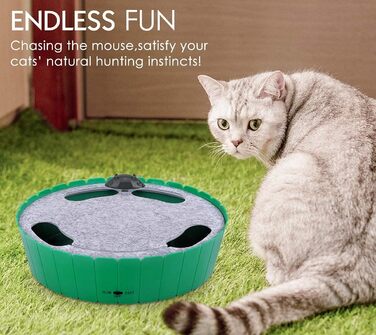 Pawaboo Cat Toy Electric Mouse, Interactive Kitten Toy Cat Bed Scratch Mat Catnip, Cute and Safe Toy Play Ball for Small Cat Play Biting Chewing - Green