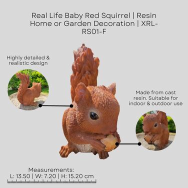 Vivid Arts Real Life Baby Squirrel Resin Indoor or Outdoor Decoration XRL-RS01-F
