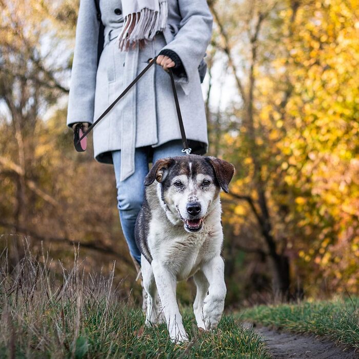 Висувна собача шлейка, 5 м, для собак маленьких та середніх порід до 25 кг, антизаплутування, міцний нейлоновий трос (рожево-білі крапки), рожева