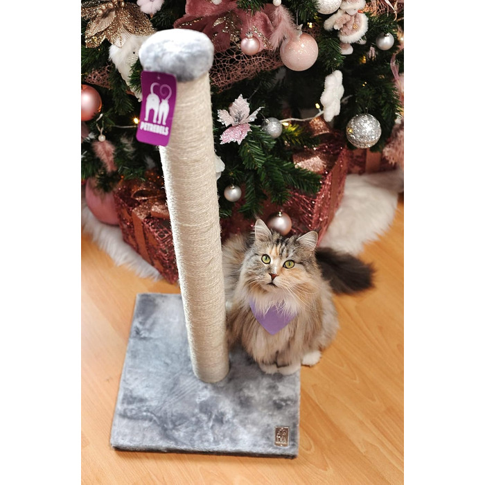 Petrebels Premium Quality Cat Tree Maine 90 cm High, with Extra Stable Base Plate and Natural Sisal Post, 40 x 40 x 90 cm, Color /Beige (Gray)
