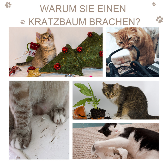 PawHut Дряпка для котів, стабільна, кігтеточка для кошенят, з іграшковими кульками, дряпальною дошкою, стійкими стовпчиками, стабільна, Темно-сірий | Aosom