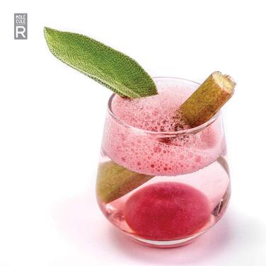 Molekül-R 129.019 Cocktail R-Development Set