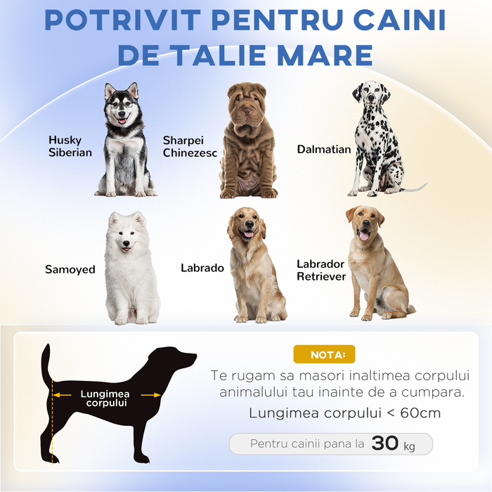PawHut Софа для собак Комфортна софа для домашніх тварин з подушкою для великих собак, піднятий дизайн з дерев'яними ніжками, Зелений 98x67x25 см