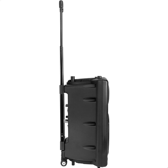 Портативна акустика Ibiza PORT12VHF-BT 12