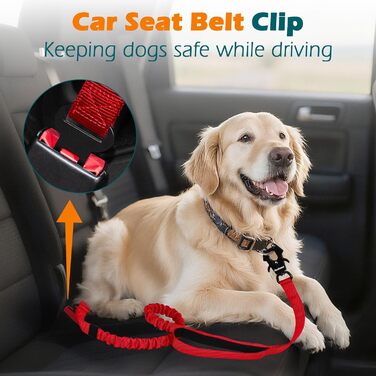 Тактична повідок для собак PetBonus Heavy Duty, 1,5м, еластична, з двома м'якими ручками, страхувальний ремінь для авто, навчальна повідок No Pull для великих та середніх собак (Армійний зелений, Червоний)