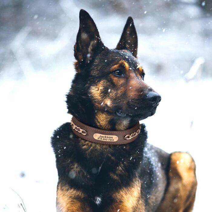 Нашийник для собак Didog з натуральної шкіри, плетений, з персоналізованою гравіюваною табличкою, регульований, міцний, чорний, розмір L (17.0-20.0 см, ширина 3.2 см)