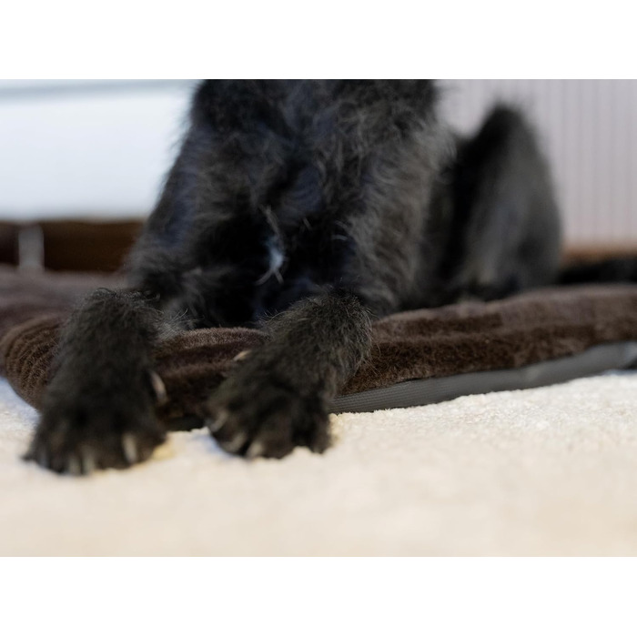 Підстилка для собак та котів Harmony Flex 90x65 см з водонепроникним дном