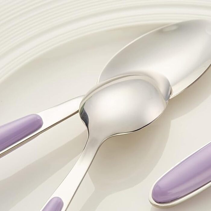 Набір столових приборів Exzact Rostfrei Stahl (нержавіюча сталь) EX07 (Фіолетовий, 16 шт.)