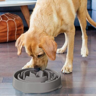 Миска для собак Outward Hound Fun Feeder L, сіра - повільне годування, запобігає здуття живота, антиковзаюча