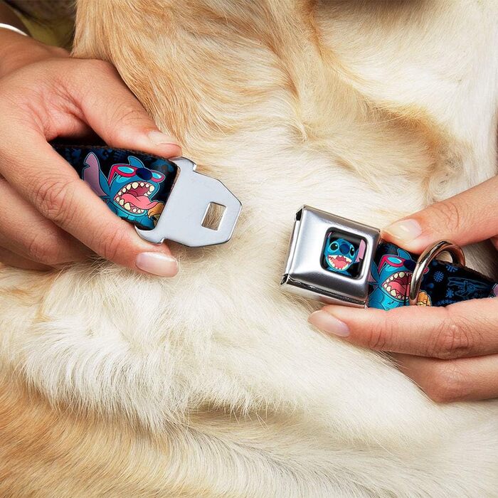 Нашийник для собак Buckle-Down з пряжкою - чорний/синій, 1 дюйм, для шиї 38-66 см - великий