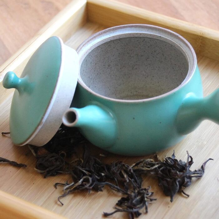 Traditional Japanese Kyusu Teapot made of Enamelled Clay, Green • Built-in Filter • Capacity 320 ml • Tea Soul