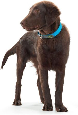 Нашийник для собак HUNTER CONVENIENCE COMFORT, тюркіс, 45 см (S-M), неопрен, для спорту та відпочинку