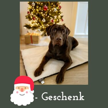 Самогріюча ковдра для собак Fellou 90 x 64 см - тепла підстилка для тварин, миється, без сторонніх звуків, бежевого кольору