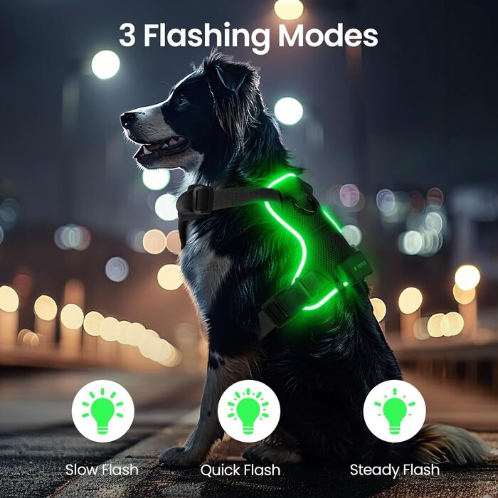 Світлодіодне шлейка для собак з підсвічуванням LED, перезаряджувана, для малих, середніх та великих собак, світловідбиваюча, регульована, XL (Чорний, Small)