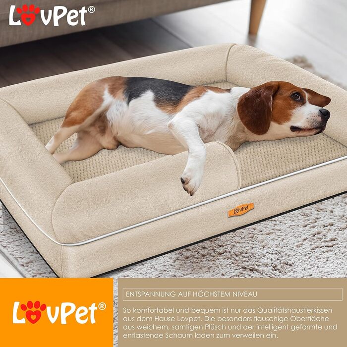 Orthopedic Dog Bed, Dog Cushion, Dog Basket, Relax, Incl. Bowl + 3x Chew Bones, Dog Sofa for Small, Medium & Large Dogs, Removable and Washable Cover, 91x71x22cm (XL (120 x 85 x 25 cm), Beige)