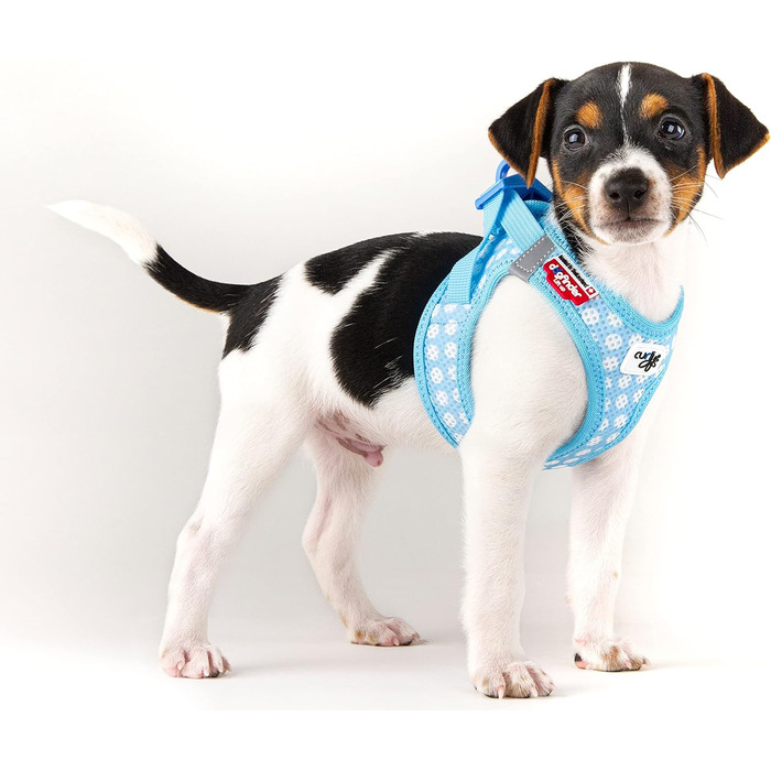 Шлейка для собак curli Clasp Air-Mesh M, блакитний колір з кругами, 3XS