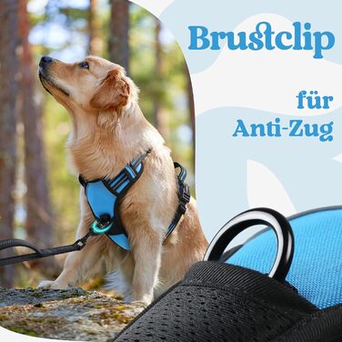 Нашийник для собак Rabbitgoo, великі породи, регульований, проти тяги, з ручкою, м'який, світловідбиваючий, блакитний, L (XL, 1 шт.)