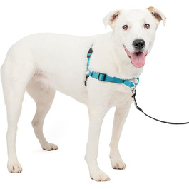 Шлейка PetSafe Easy Walk Deluxe для собак середнього та великого розміру, без натягу, з м'якою підкладкою, з поводом 1.8 м, океаново-блакитний/чорний колір