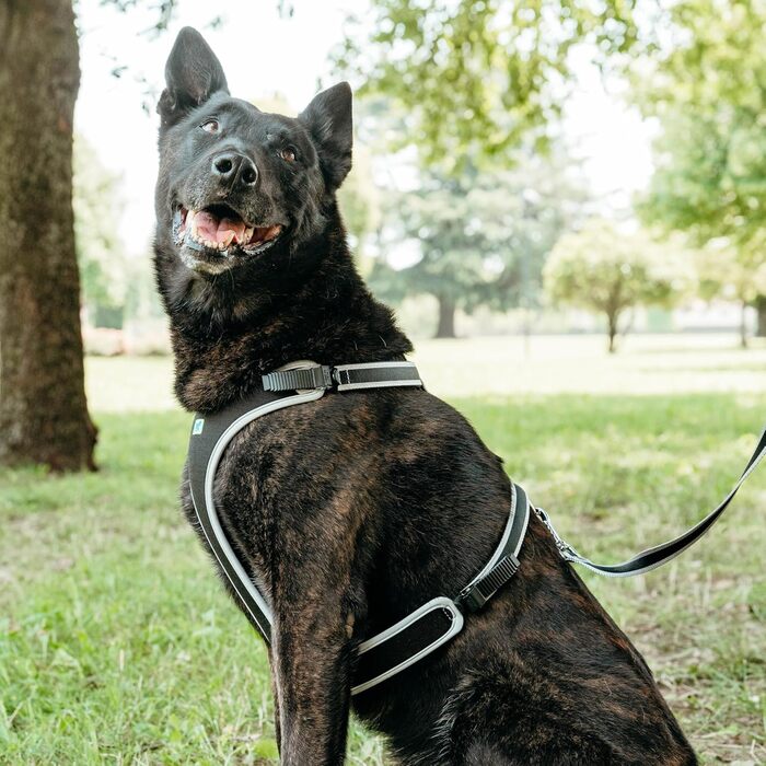 Нашийник для собак середнього розміру Ferplast ERGOCOMFORT, регульований, з м'якою підкладкою, подвійний мікрорегулятор, швидка застібка, сріблястий (Halsumfang: 64-74 см, Brustumfang: 82-92 см)