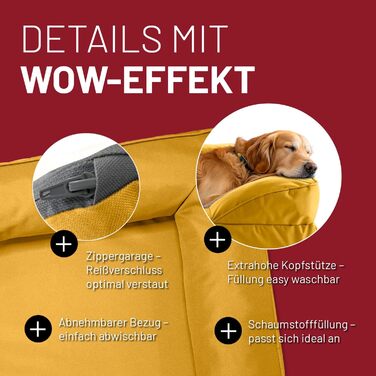 Ортопедичне собаче ліжко Lumaland з корду | Собаче ліжко-софа 70x60 см та 110x75 см - для маленьких собак | Нековзне дно | Зручна та миюча наповнювач та чохол | Собаче гніздо з Memory Foam Cord - Оливковий (In & Outdoor)