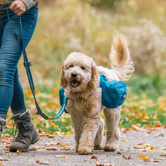 Фляга для собак Kurgo RSG, знімний чохол, сумісна з MOLLE, кріплення для службового нашийника, блакитна, універсальний розмір (сумка на сидіння, чорна)