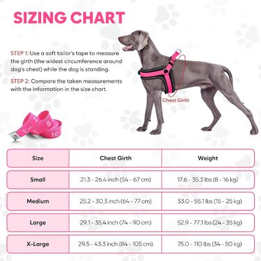 Світловідбиваючий жилет для собак BiPawTi середнього розміру, перезаряджається, жилет для собак зі світлодіодами, 3 режими світіння - світиться в темряві, шлейка для собак, для прогулянок, зелене світло (рожеве/червоне), XL