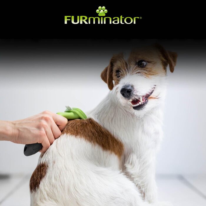FURminator для собак S, короткошерсті: щітка для видалення підшерстка - версія 2.0