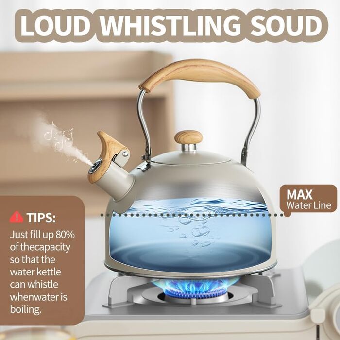 Чайник Teekessel 2.7л з дерев'яною ручкою, гучний свисток, нержавіюча сталь, антикорозійний, для всіх плит (2.5л)