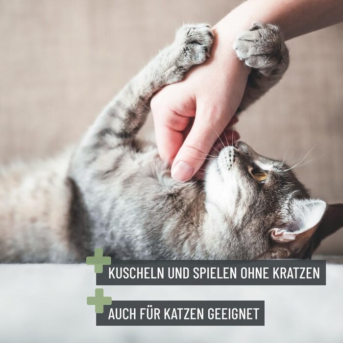 Ножиці ReaVET для обрізання кігтів собак та котів - з пилочкою та упором | Нержавіюча сталь | Інструмент для догляду за кігтями