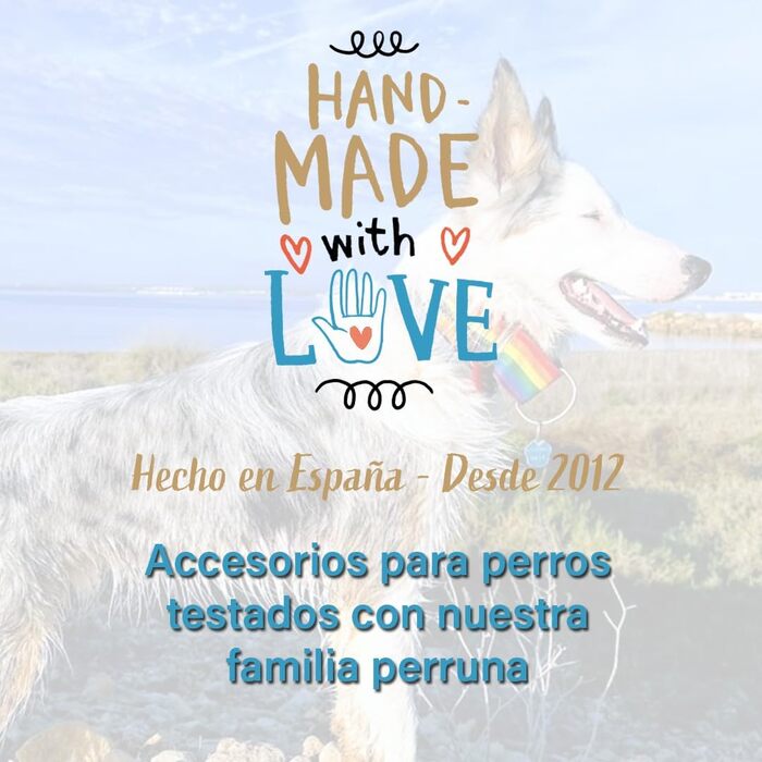 Нашийник для собак Galguita Amelie з принтом черепа, 4 см, розмір M (30-39 см), для собак Мартінгейл