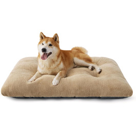 колір: камель