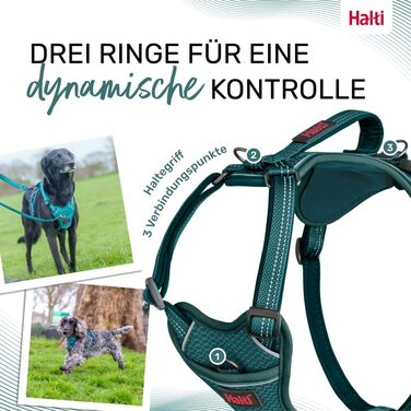 HALTI Anatomy Dog Harness with Handle – Freedom of Movement for Your Dog. 3 Leash Attachment Points, Neoprene Padding, Adjustable and Reflective (Size L, Blue-Green)