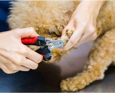 Професійний кусачки для нігтів собак та котів з пилочкою (червоний)