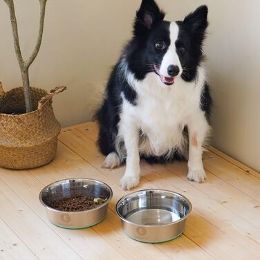 Набір мисок для собак LumoLeaf, нержавіюча сталь, великі, 2 x 3000 мл, з протиковзким силіконовим дном, для великих і середніх собак, миска для їжі та води, придатна для миття в посудомийній машині (подвійний набір)