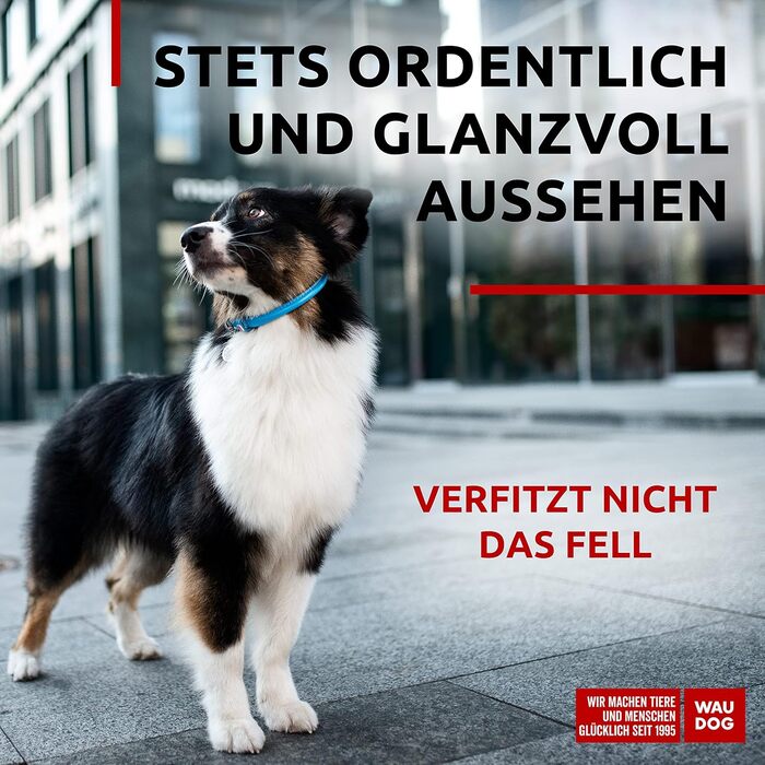 Нашийник для собак WAUDOG з натуральної шкіри, 20-25 см, 8 мм, блакитний